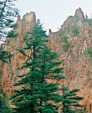 Влада Макарычева - Дальний Восток. Путеводитель
