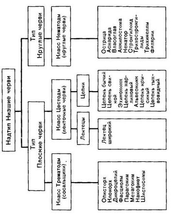 Давид Генис - Паразитология