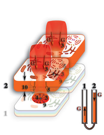 Николай Левашов - Неоднородная Вселенная