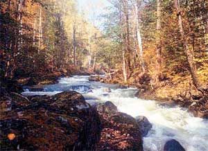 Влада Макарычева - Дальний Восток. Путеводитель