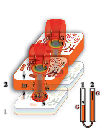 Николай Левашов - Неоднородная Вселенная