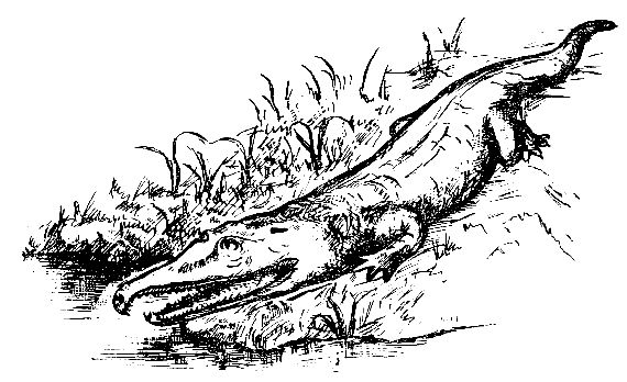 Виталий Очев - Тайны пылающих холмов