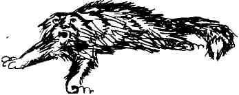 Колокольчик в тайге