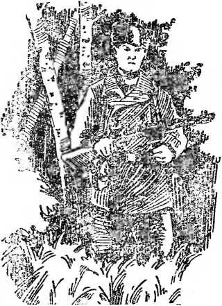 Евгений Гончаренко - Самолет не вернулся