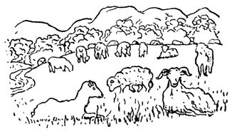 Карел Чапек - Рассказы северных ветров, или По пабам и паркам