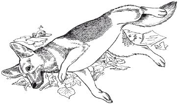 В. Гриценко - Перевоспитание собак