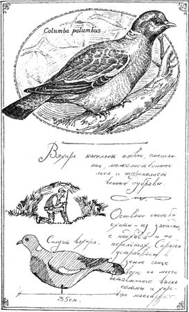 Алексей Сицко, Михаил Блюм и др. - Советы начинающему охотнику