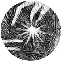 Кирилл Алейников - Дар речи (сборник)