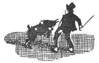 Семь удивительных историй Иоахима Рыбки