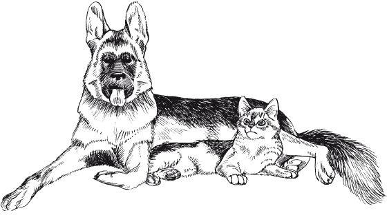 В. Гриценко - Перевоспитание собак