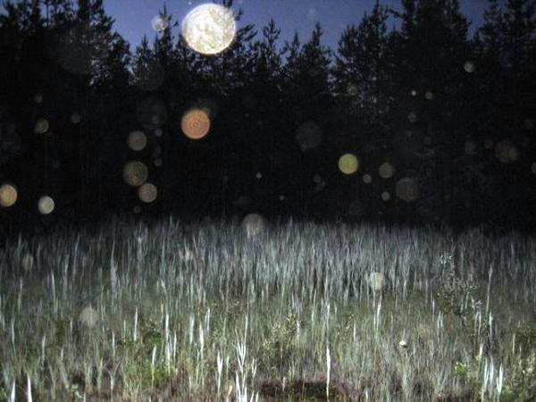 Николай Субботин - По ту сторону реальности (сборник)