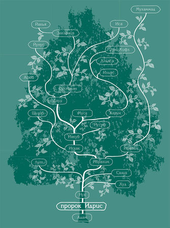 Наталья Магомедова - Пророки и Посланники. Жизнеописания на основе Корана и Сунны