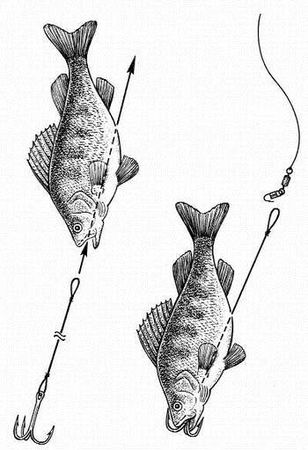 Александр Пышков, Сергей Смирнов - Ловля рыбы со льда