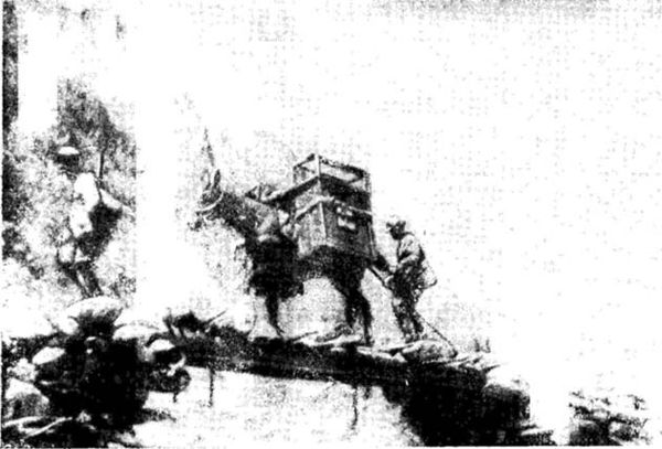 В. Клементьев - Боевые действия горных войск