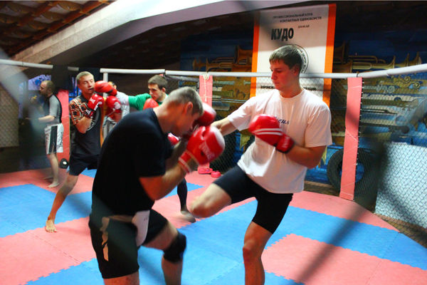 Константин Промысловский - Пошаговое руководство для изучающих смешанные...