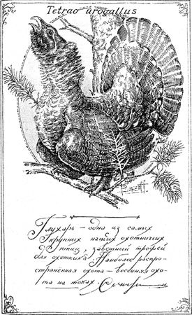 Алексей Сицко, Михаил Блюм и др. - Советы начинающему охотнику