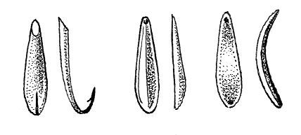 Александр Пышков, Сергей Смирнов - Ловля рыбы со льда