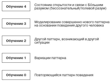 Роберт Дилтс, Джудит Делозье - НЛП-2: поколение Next