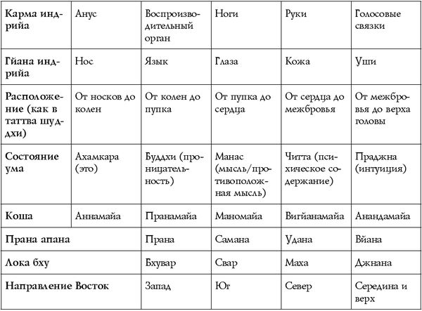 Сан Лайт - Чакры - энергии жизненных сфер. Работа с внутренним космосом