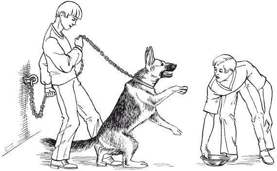 В. Гриценко - Перевоспитание собак