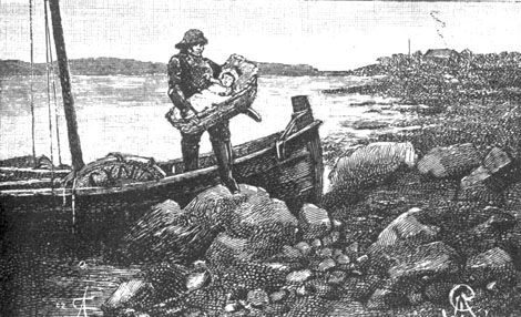 Жюль Верн, Андре Лори - Найденыш с погибшей "Цинтии"