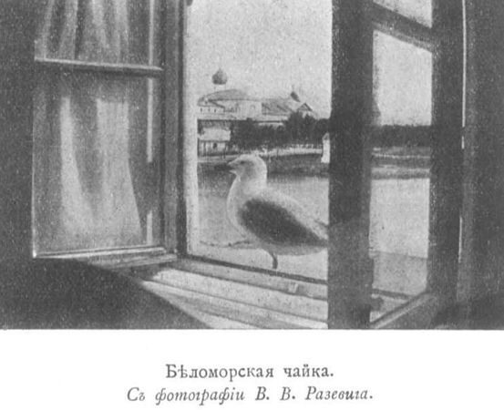 Сергей Дурылин - За полуночным солнцем