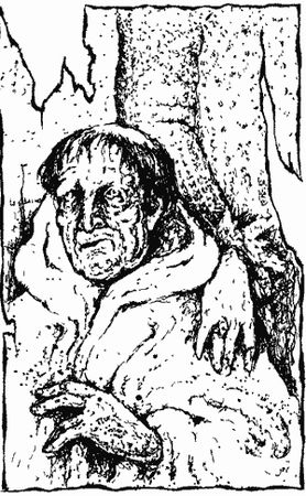 Поль Бертрам - Тень власти