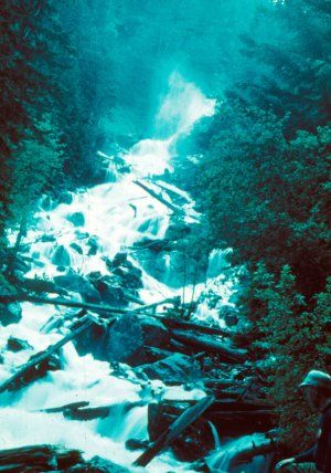 Евгений Буянов - Стихий безумные удары