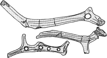 Питер Браун - Стоунхендж. Загадки мегалитов