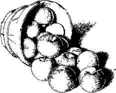 Анна Зорина - Календарь умного садовода и огородника