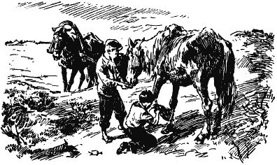 Лев Кассиль - Том 3. Линия связи. Улица младшего сына