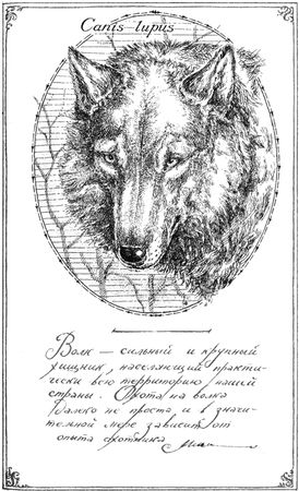 Алексей Сицко, Михаил Блюм и др. - Советы начинающему охотнику