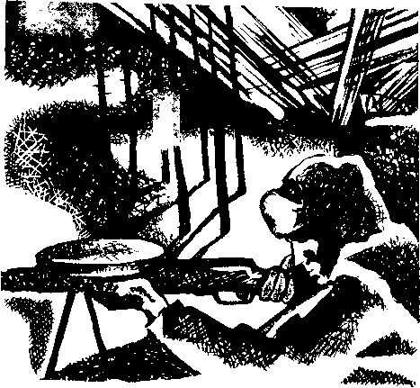 Николай Алексеев - Испытание