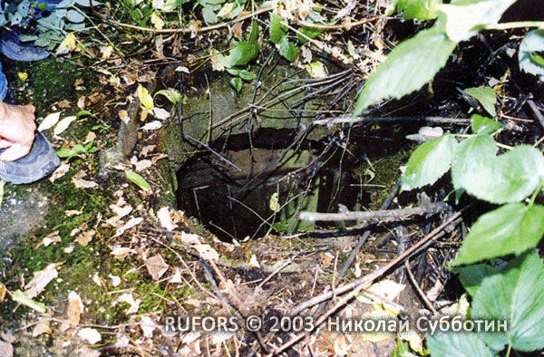 Николай Субботин - По ту сторону реальности (сборник)