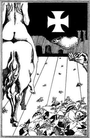 Витольд Гомбрович - Девственность и другие рассказы. Порнография. Страницы дневника