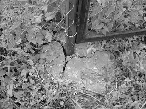 Иван Никитко - Забор, ограда, калитка на дачном участке. Строим своими руками