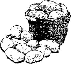 Анна Зорина - Календарь умного садовода и огородника