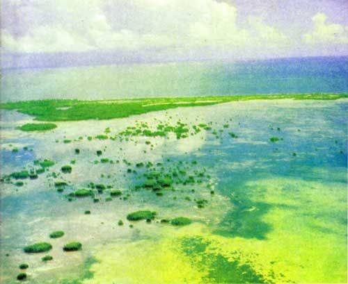 Жак-Ив Кусто, Ив Паккале - Сюрпризы моря