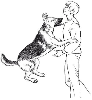 В. Гриценко - Перевоспитание собак