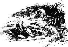 Юрий Крутогоров - Повесть об отроке Зуеве