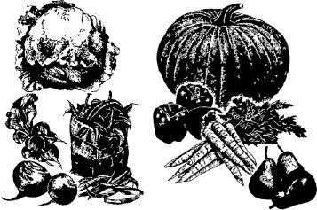 Анна Зорина - Календарь умного садовода и огородника