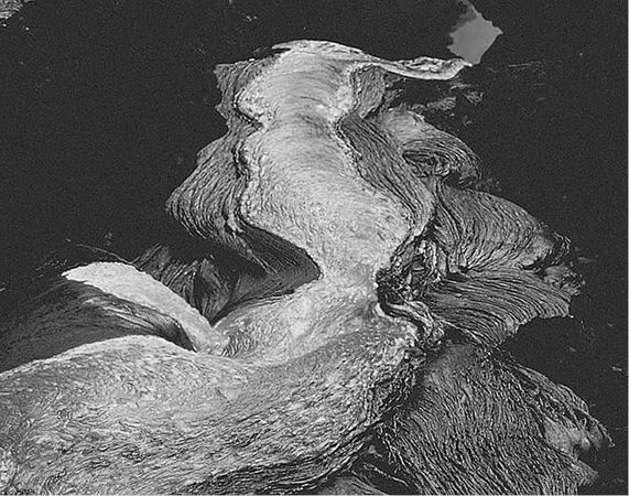 Николай Непомнящий - 100 великих загадок природы