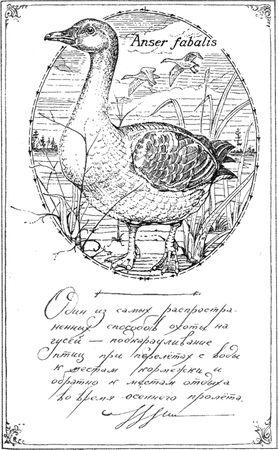 Алексей Сицко, Михаил Блюм и др. - Советы начинающему охотнику