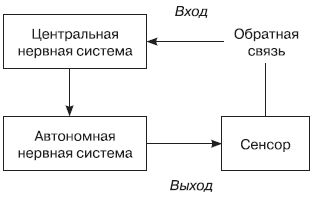 Роберт Дилтс, Джудит Делозье - НЛП-2: поколение Next