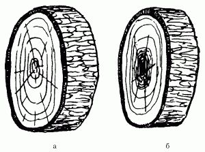 Наталья Коршевер - Работы по дереву и стеклу