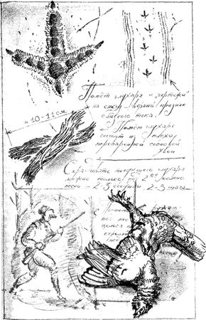 Алексей Сицко, Михаил Блюм и др. - Советы начинающему охотнику