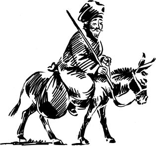 Елена Первушина - Исторические загадки Мюнхгаузена