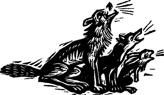 Народные сказки Народные сказки - Королева Лебедь. Литовские народные сказки