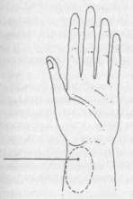 Николай Шерстенников - Семь горизонтов Силы