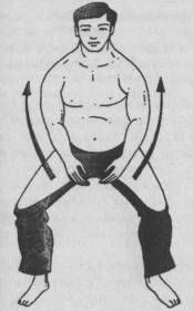 Николай Шерстенников - Семь горизонтов Силы